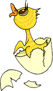 chick and egg